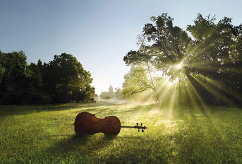 nature music